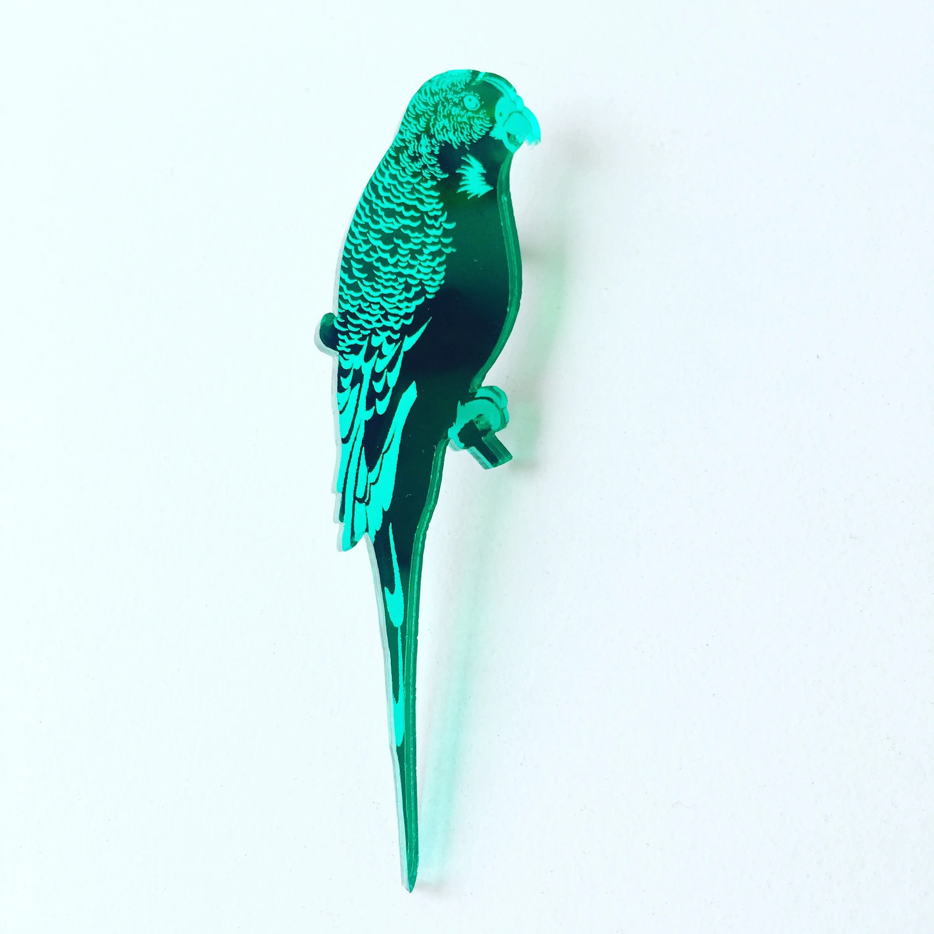 © Mirror: Budgerigar Duo - TWO PAIR