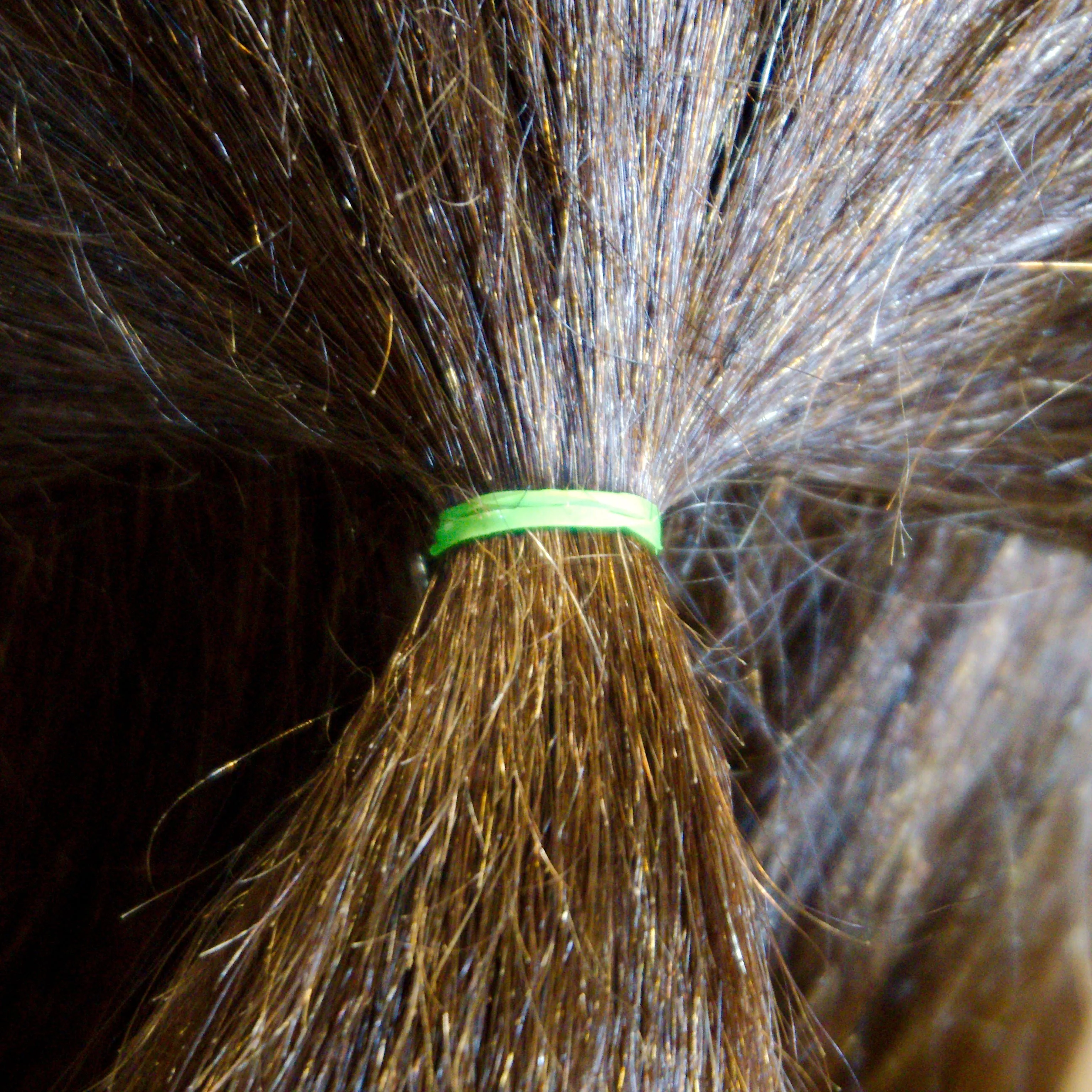 Amelia Beauty | 1/2in, Lime, Tangle Free Elastic Pony Tail Holders | Made in USA, Ideal for Ponytails, Braids, Twists. For Women, Girls. Pain Free, Snag Free, Easy Off | 500 Pack