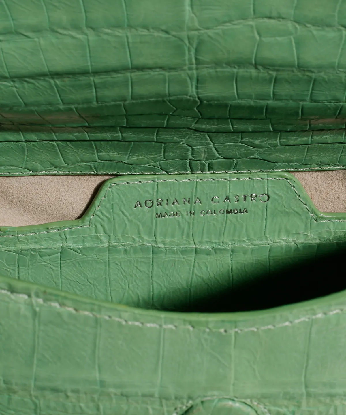 Anka Mini in Crocodile