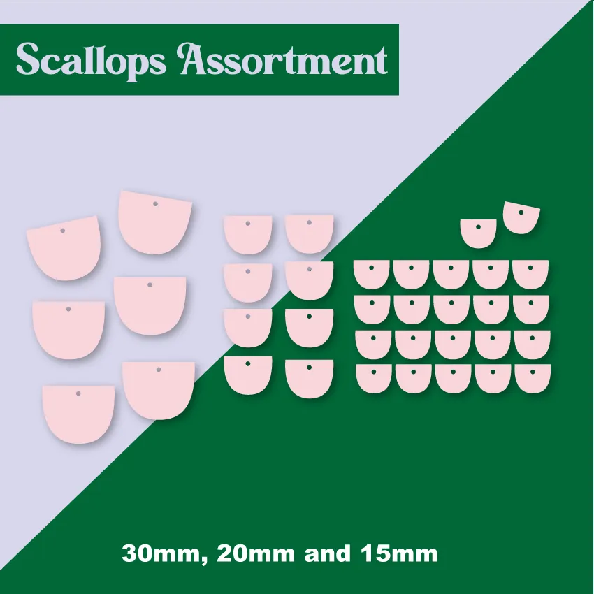 Assorted Scallops Set  - Mixed Sizes