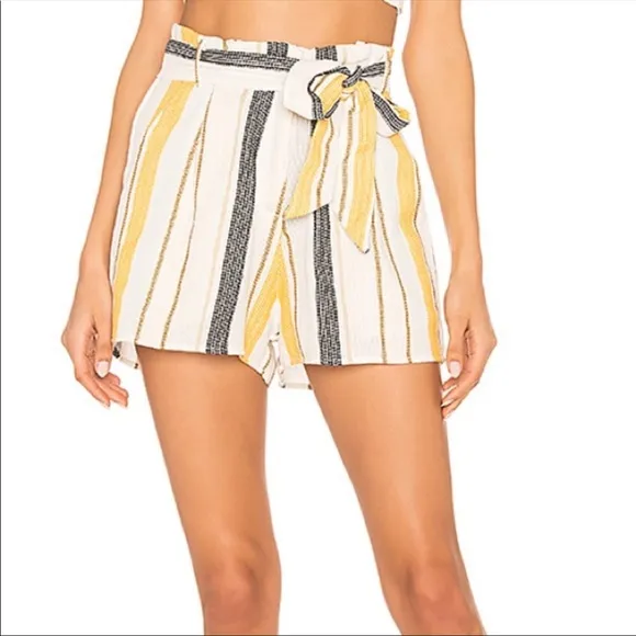 Beach Riot Size Aubrey Yellow Striped Tie Shorts