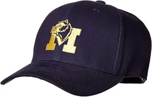 Collegiate Hats - Fitted Caps Dad Hats and Snapbacks Available (Medium Fitted Hat, Michigan)