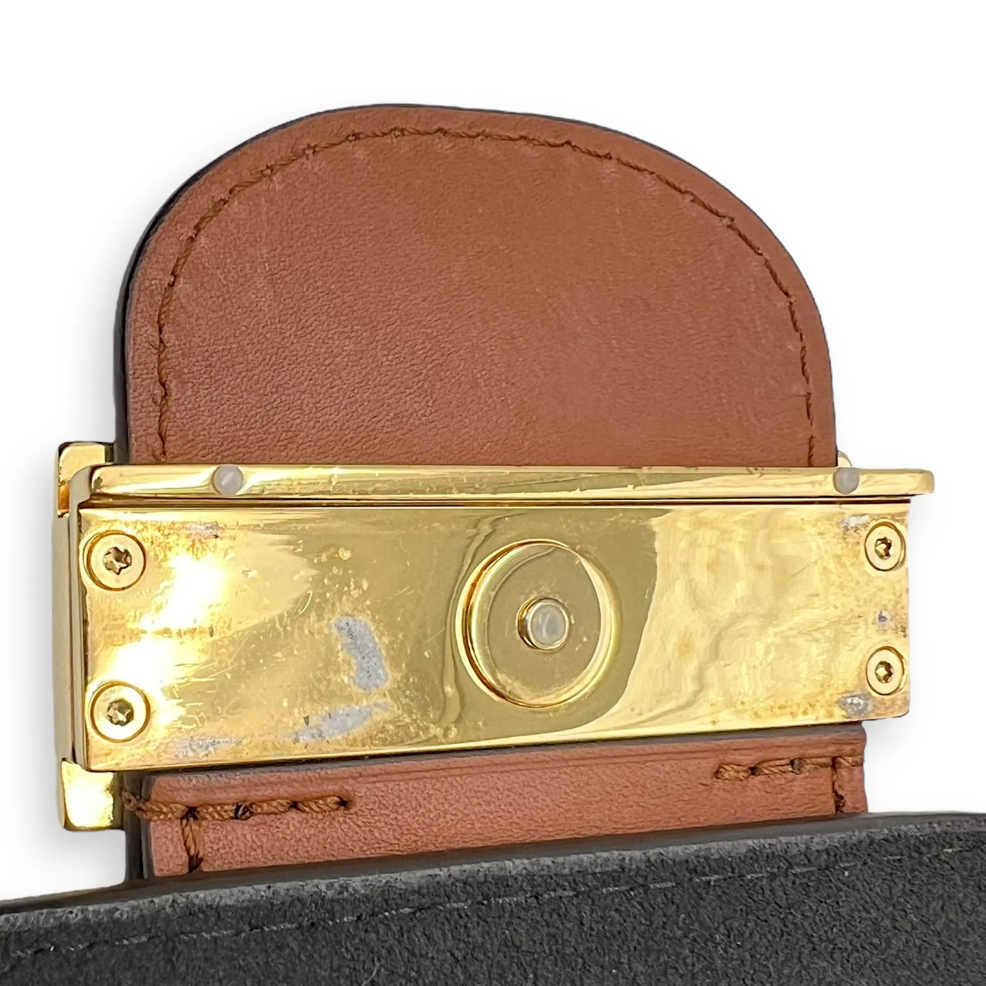 Dauphine Reverse Mini Crossbody bag in Monogram coated canvas, Gold Hardware