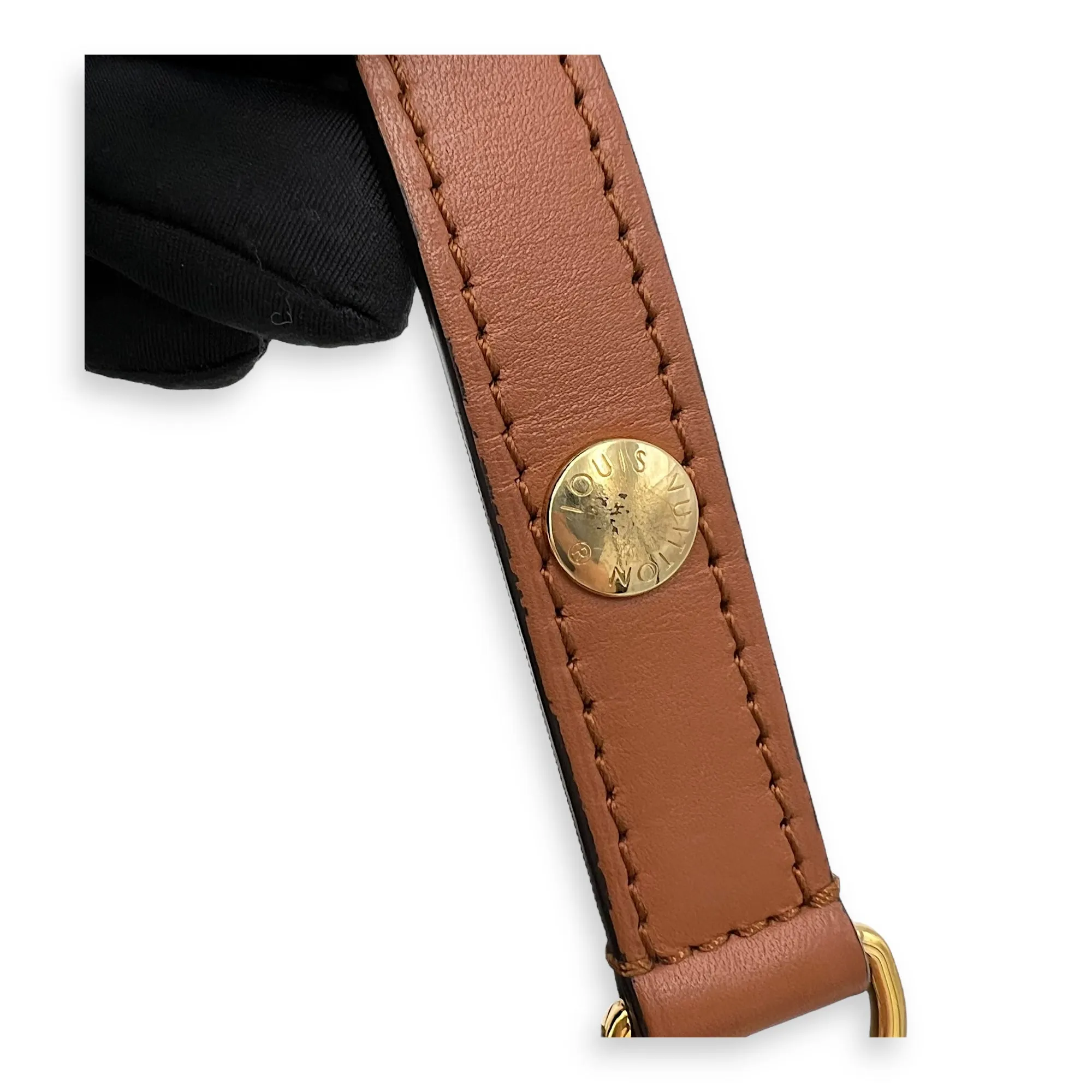 Dauphine Reverse Mini Crossbody bag in Monogram coated canvas, Gold Hardware