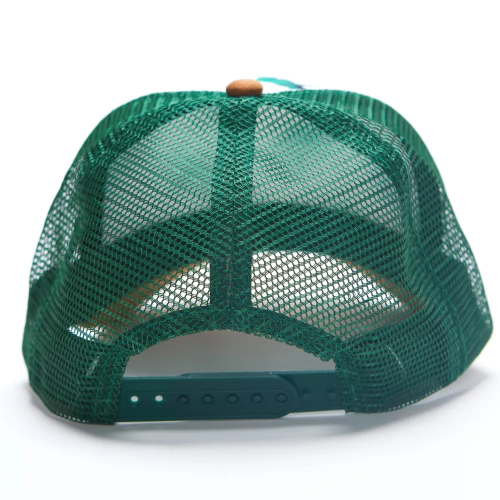 Green Dinosaur Cap