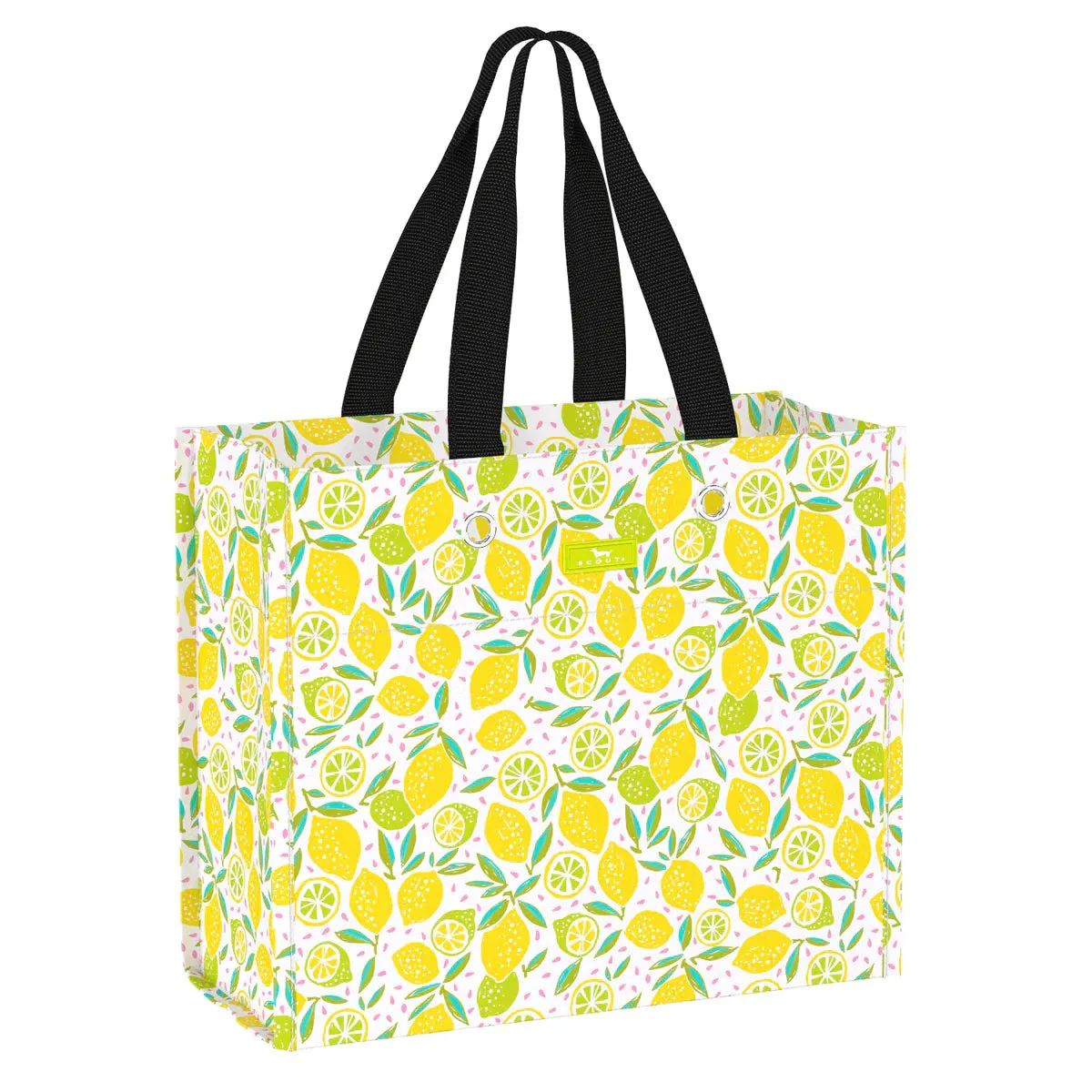 Large Package (Lemoncello)