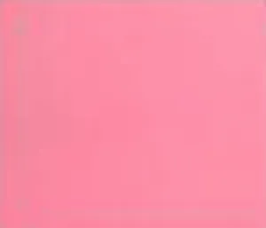 Leggings for Youth 001(Pink)