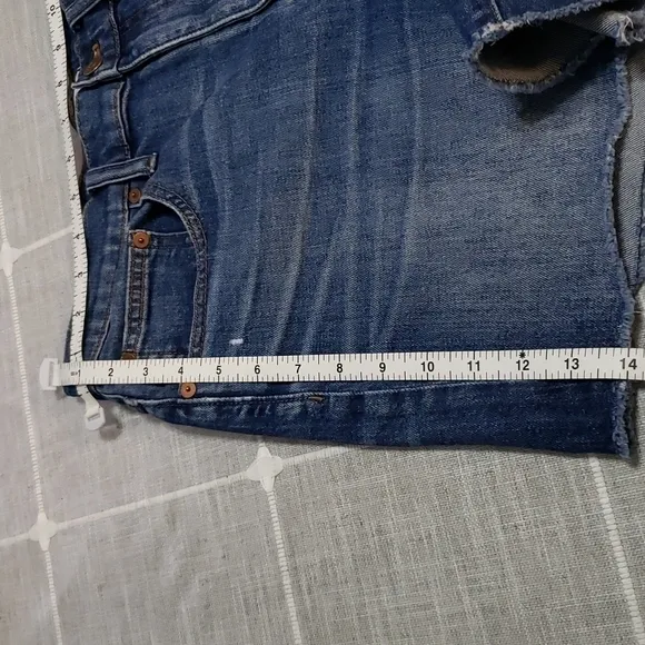 MADEWELL High-Rise Denim Shorts in Glenoaks Wash: Cutoff Edition, Size 28