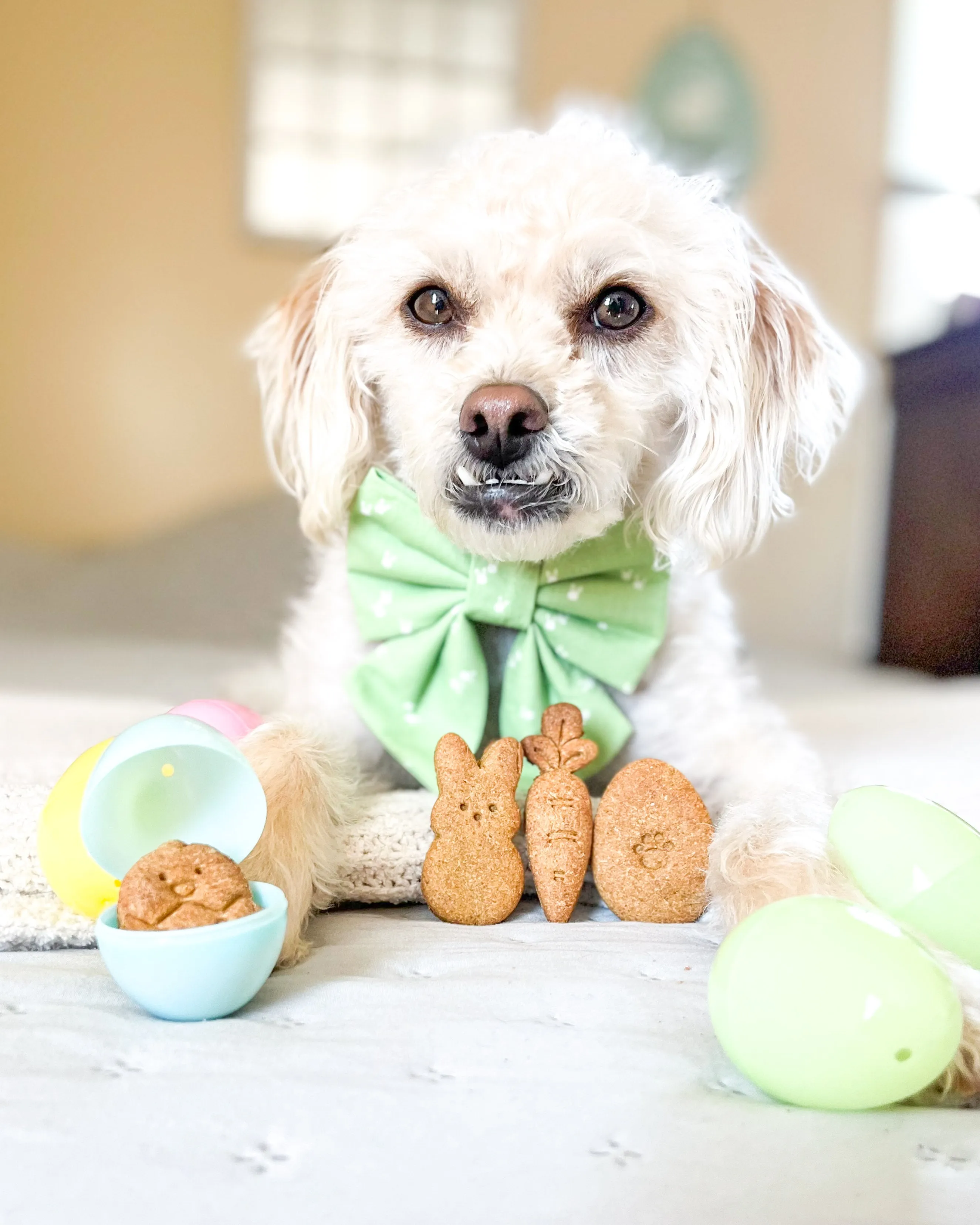 Marshmallow Bunny Dog Biscuit Cookie Cutter (2 STYLES AVAILABLE)