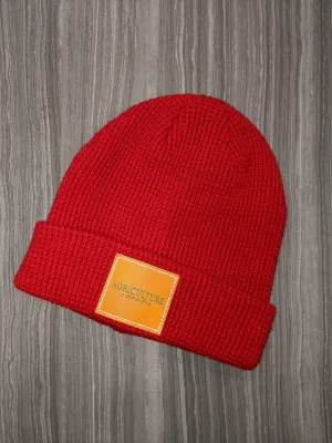 Red Beanie