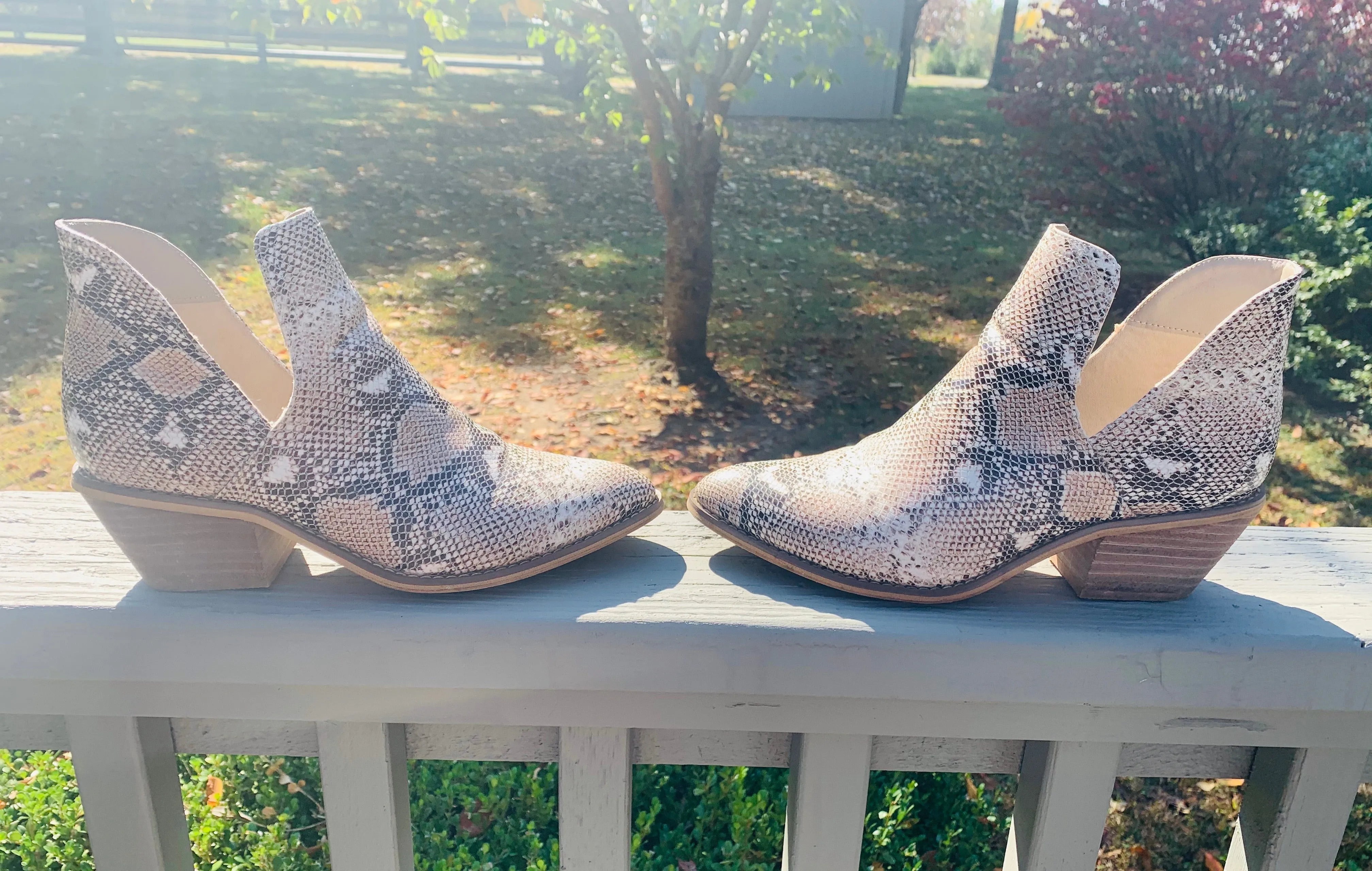Snake Ankle Booties